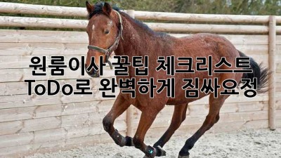 원룸이사 꿀팁🍯: 체크리스트 & To-Do로 완벽하게! 짐싸요정🧚‍♀️