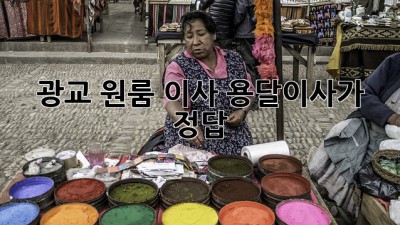 광교 원룸 이사? 용달이사가 정답!